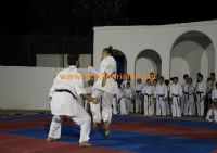 karate (77) (Αντιγραφή)